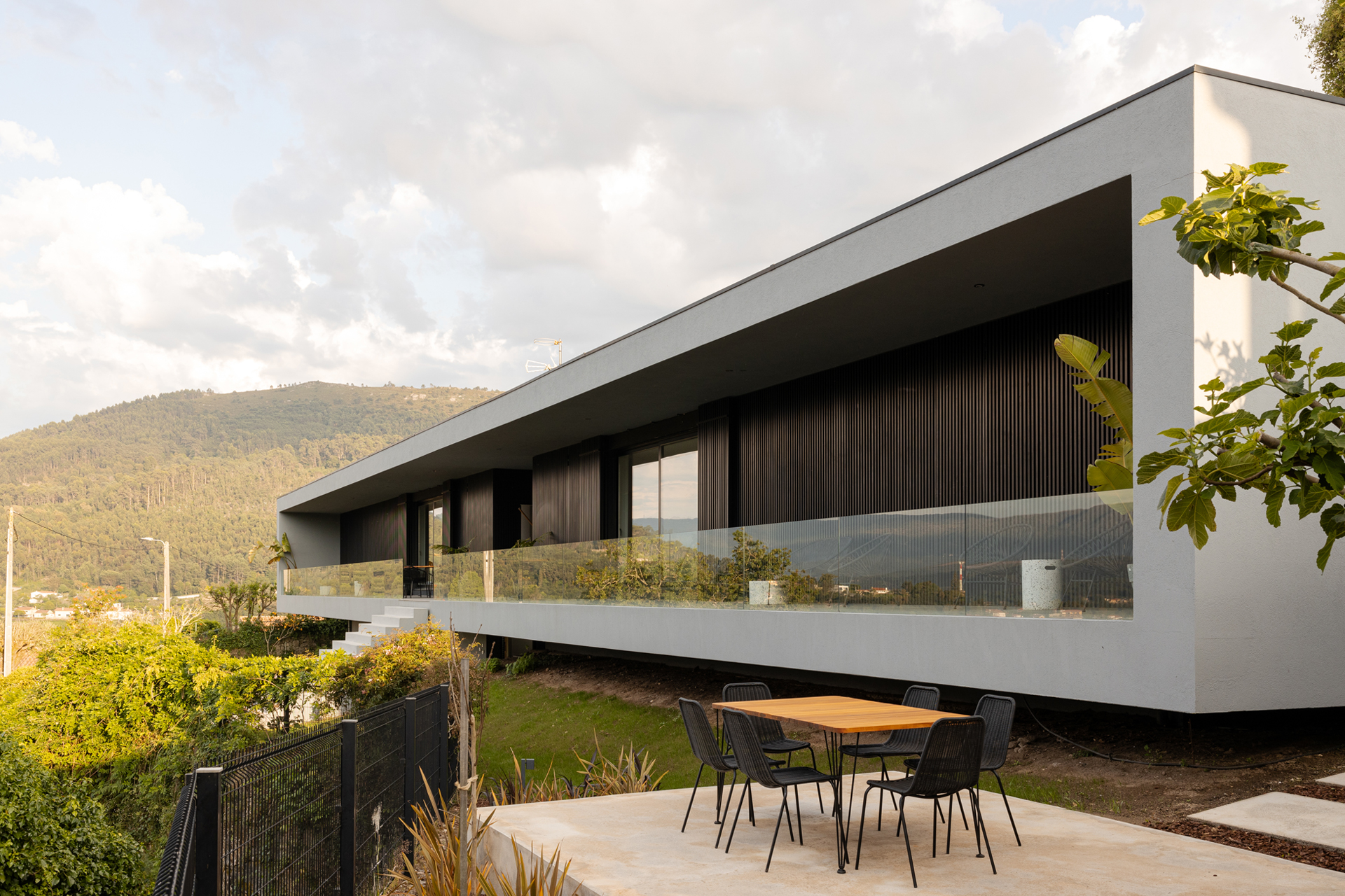 Casal no Campo - Ovelha