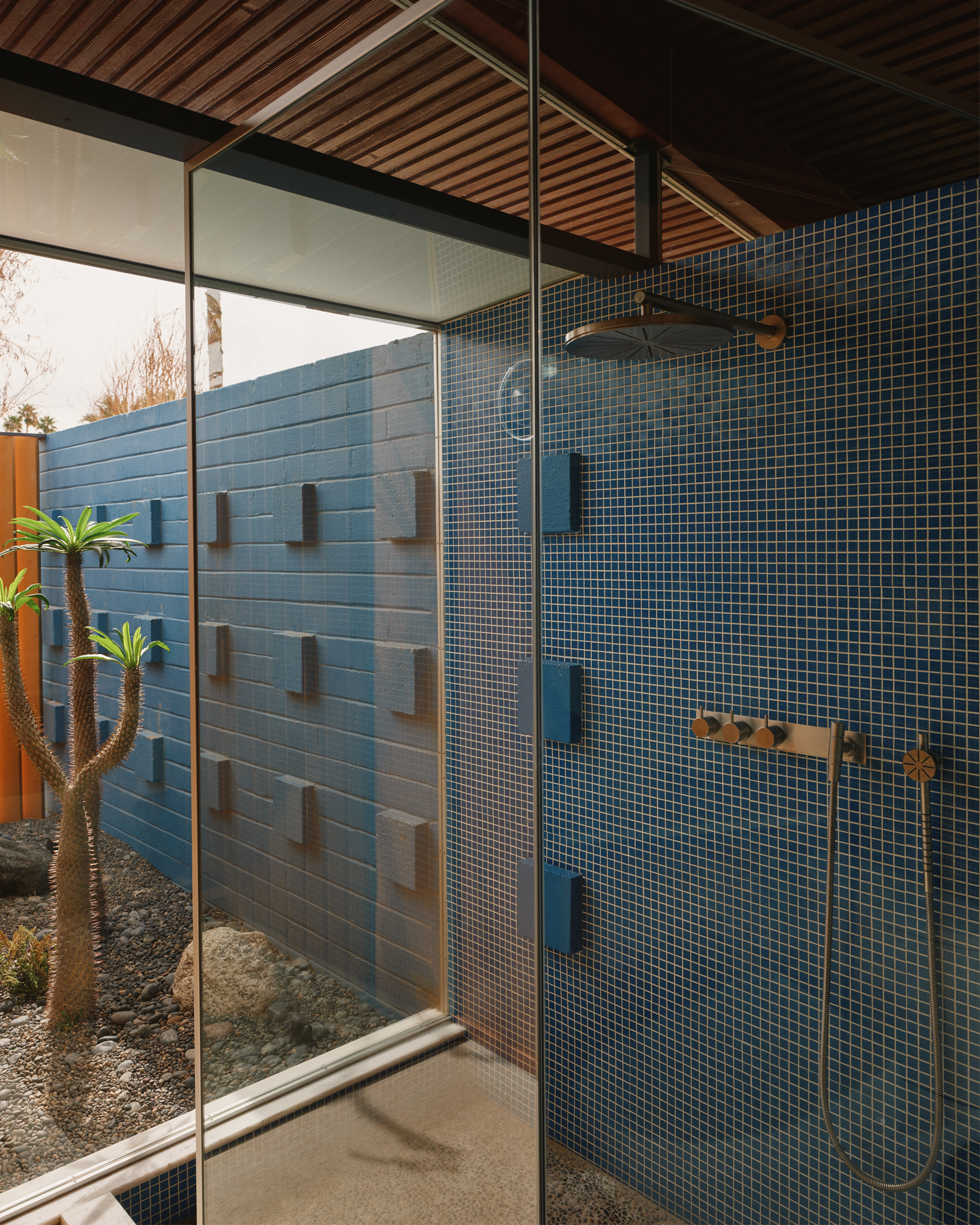 DWRXBoutique_house_Palm-Desert_California_bathroom-shower.jpg