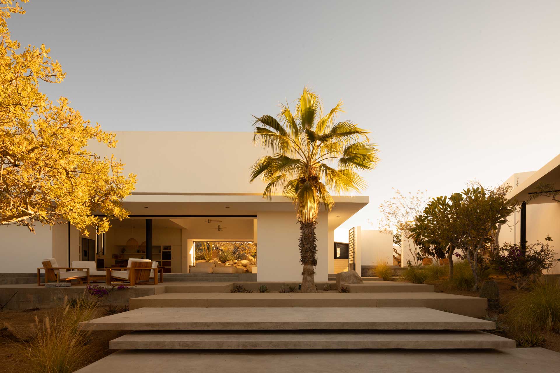 los-zacatitos-by-boutique